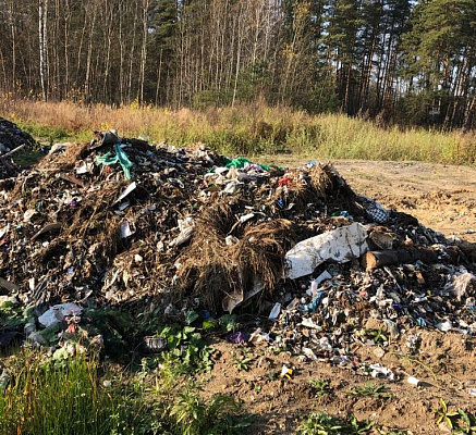 Во Владимирской области выявлены четыре несанкционированные свалки